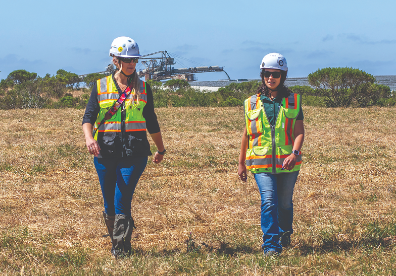 Sustainability Image